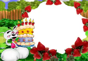 照片效果分类 生日 № 158364