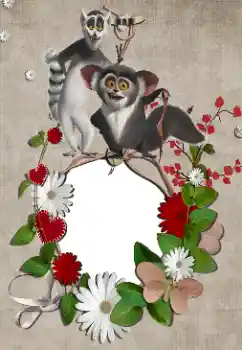 照片效果分类 各类儿童类 № 39285