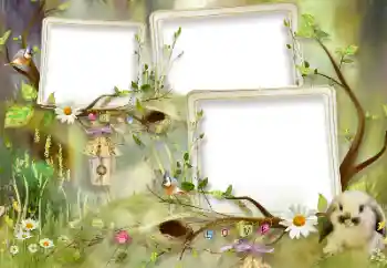 照片效果分类 儿童情感 № 105460
