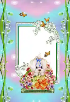 照片效果分类 儿童节日 № 151673 照片效果分类 儿童节日 № 151673