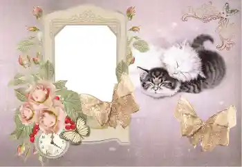 照片效果分类 洗澡、吃饭、睡觉 № 153184 照片效果分类 洗澡、吃饭、睡觉 № 153184