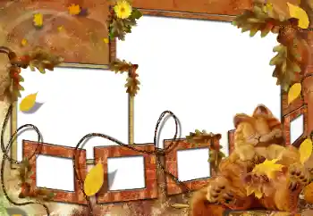 照片效果分类 洗澡、吃饭、睡觉 № 160682