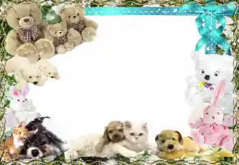 照片效果分类 我的玩具和最喜欢的人 № 158458