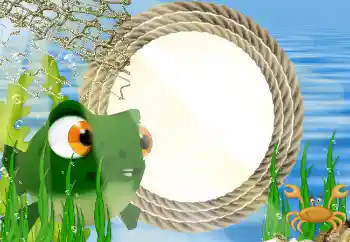 照片效果分类 在海边 № 4439