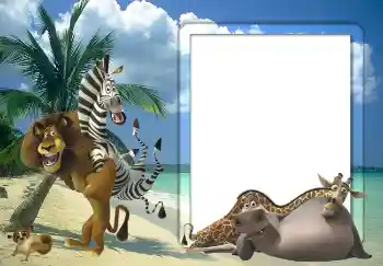 照片效果分类 在海边 № 5342