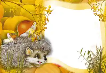 照片效果分类 在大自然中 № 166562