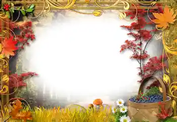 照片效果分类 在大自然中 № 192842