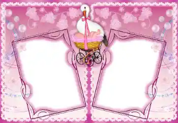 照片效果分类 第一年 № 192937