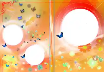 照片效果分类 DVD封面 № 145141