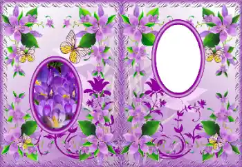 照片效果分类 DVD封面 № 183322