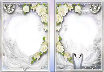 照片效果分类 DVD封面 № 4456. 边框标语: 我们的婚礼