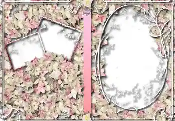 照片效果分类 DVD封面 № 4459. 边框标语: 家族史