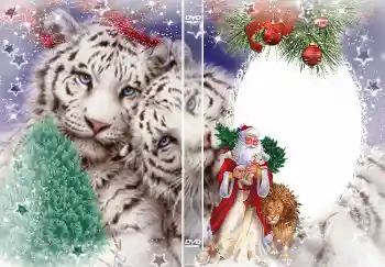 照片效果分类 DVD封面 № 4463. 边框标语: 新年