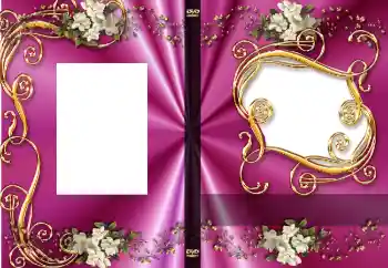 照片效果分类 DVD封面 № 4528. 边框标语: 我的纪念日