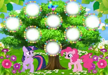 照片效果分类 家族谱 № 130987