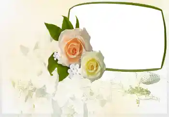 照片效果分类 邀请函 № 4455. 边框标语: ……邀请函 照片效果分类 邀请函 № 4455. 边框标语: ……邀请函
