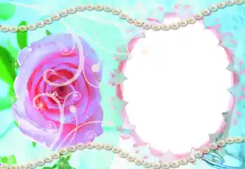 边框标语: 婚礼邀请函 边框标语: 婚礼邀请函