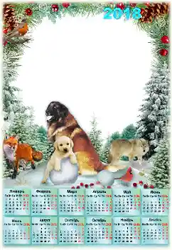 照片效果分类 日历 № 129853