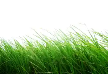 照片效果分类 各类 № 101116