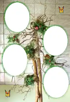 照片效果分类 各类 № 101323