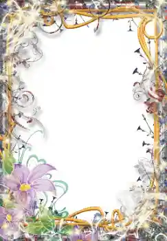 照片效果分类 各类 № 101399
