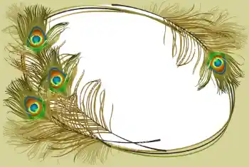 照片效果分类 各类 № 105263