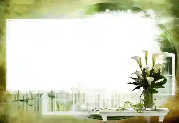 照片效果分类 各类 № 112461 照片效果分类 各类 № 112461