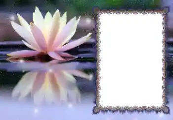 照片效果分类 各类 № 112532