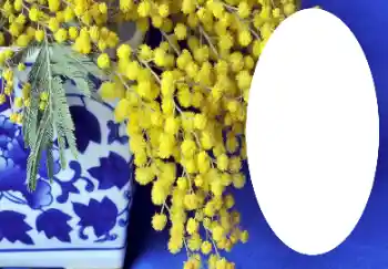 照片效果分类 各类 № 112719