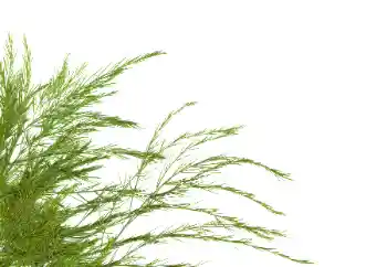 照片效果分类 各类 № 114378 照片效果分类 各类 № 114378
