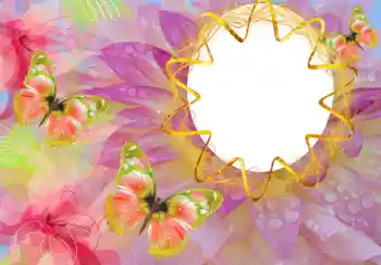 照片效果分类 各类 № 114527