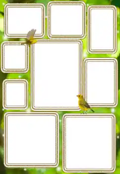 照片效果分类 各类 № 114577