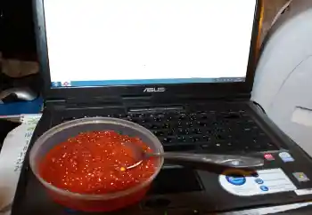照片效果分类 各类 № 115910