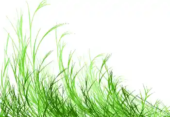 照片效果分类 各类 № 115932