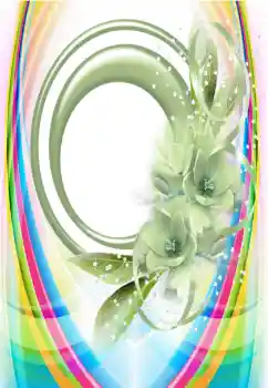 照片效果分类 各类 № 115990