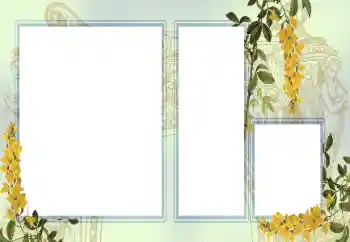 照片效果分类 各类 № 123242