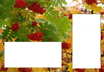 照片效果分类 各类 № 124596 照片效果分类 各类 № 124596