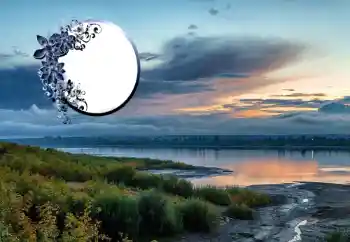 照片效果分类 各类 № 125673 照片效果分类 各类 № 125673