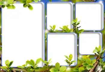 照片效果分类 各类 № 125893 照片效果分类 各类 № 125893