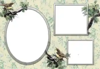 照片效果分类 各类 № 127132