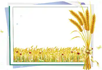照片效果分类 各类 № 127326 照片效果分类 各类 № 127326