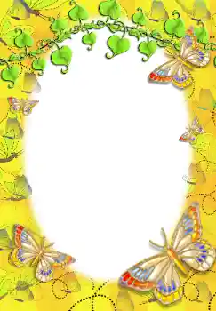 照片效果分类 各类 № 12836