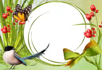 照片效果分类 各类 № 138546
