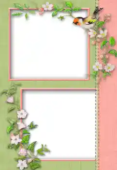 照片效果分类 各类 № 13930