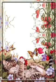 照片效果分类 各类 № 14979