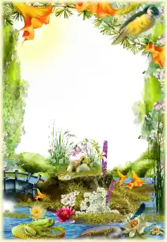 照片效果分类 各类 № 154548