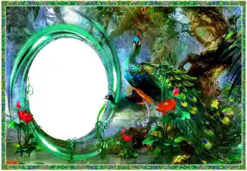照片效果分类 各类 № 154704