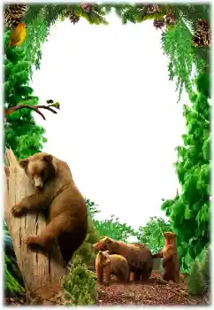 照片效果分类 各类 № 155801