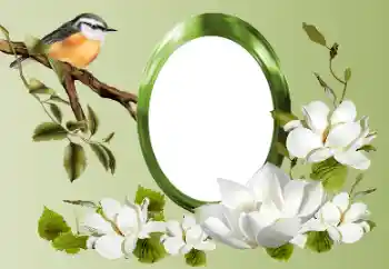 照片效果分类 各类 № 155868 照片效果分类 各类 № 155868