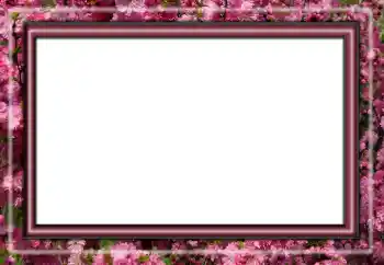 照片效果分类 各类 № 158431 照片效果分类 各类 № 158431